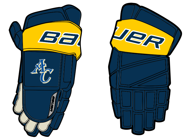 Arlington Catholic Hockey Bauer Team Elite Hockey Glove