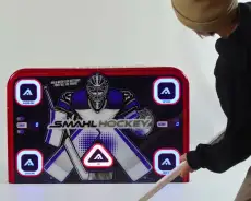 SMAHL Mini Hockey System