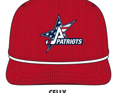 Patriots Hockey Celly Hockey Corduroy Snapback